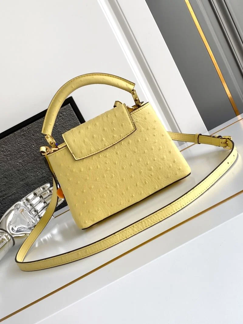 Louis Vuitton Capucines BB Bags Affordable 41273