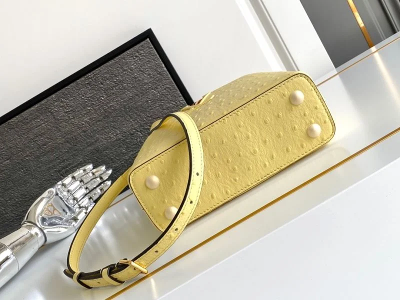 Louis Vuitton Capucines BB Bags Affordable 41273