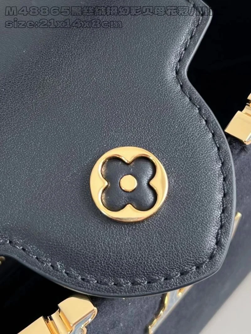 Neat Louis Vuitton Capucines BB Bags 41276