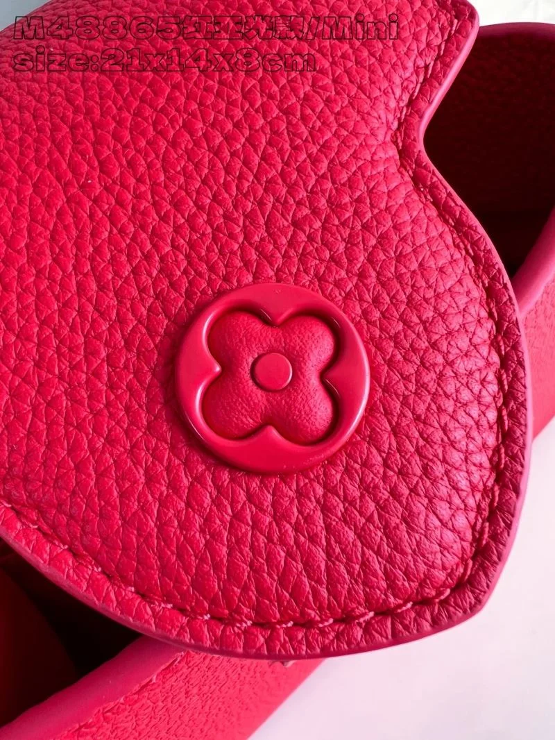Louis Vuitton Capucines BB Bags Unique 41252