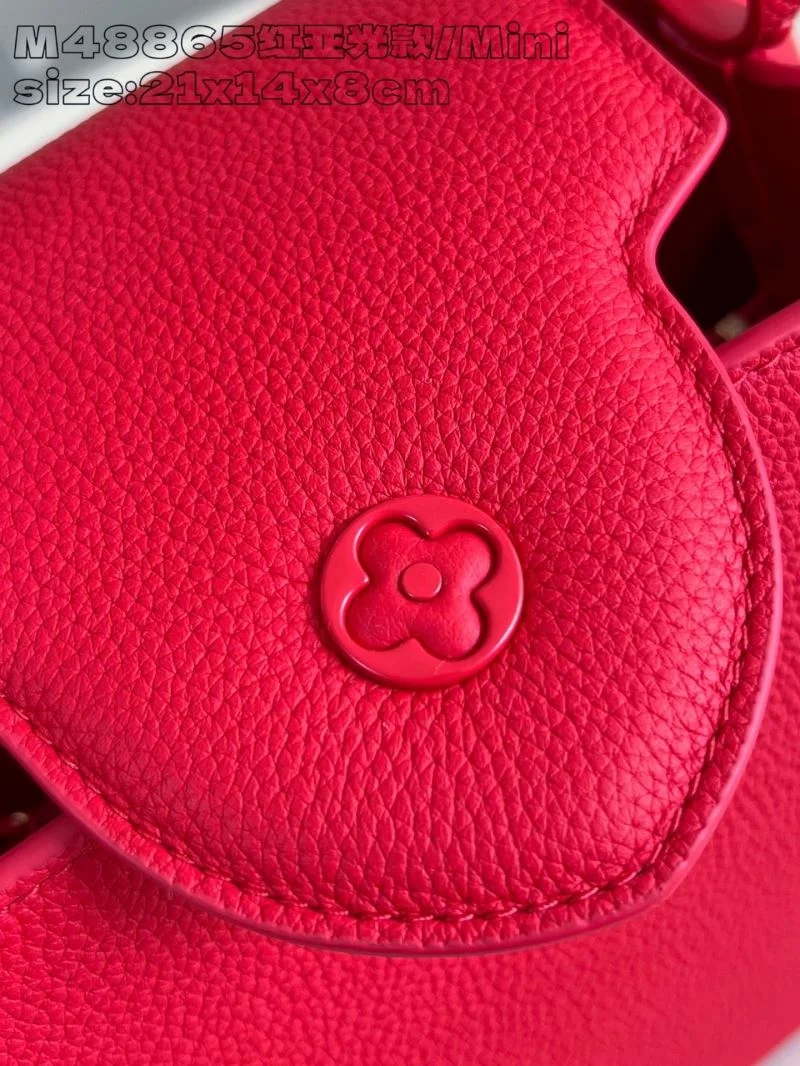 Louis Vuitton Capucines BB Bags Trendy 41251