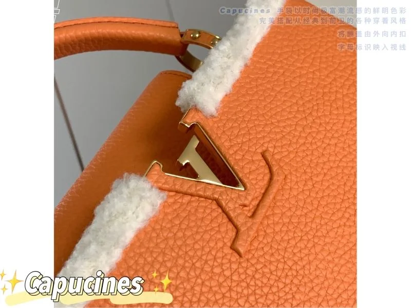 Louis Vuitton Capucines BB Bags Refined 40052