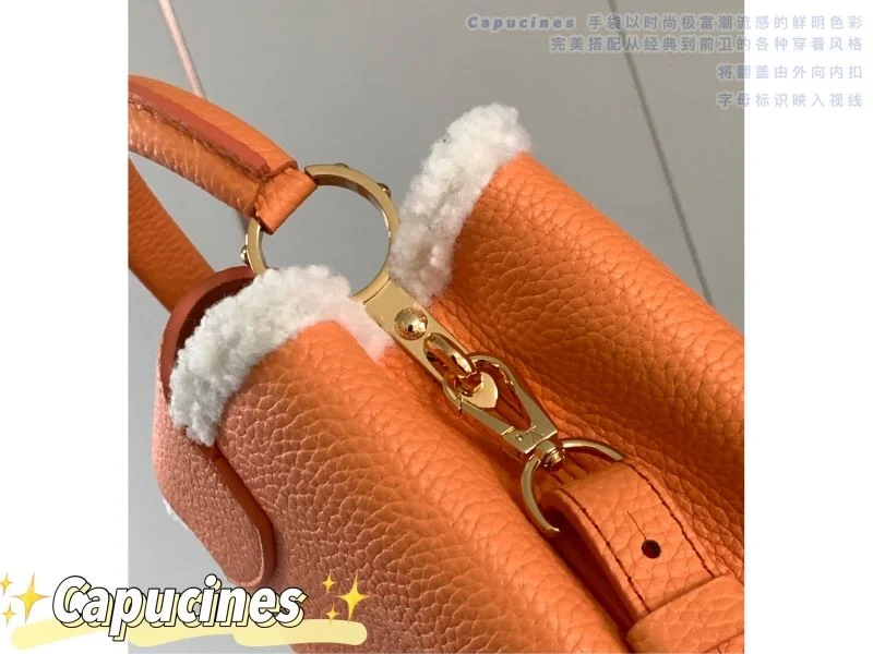 Louis Vuitton Capucines BB Bags Refined 40052
