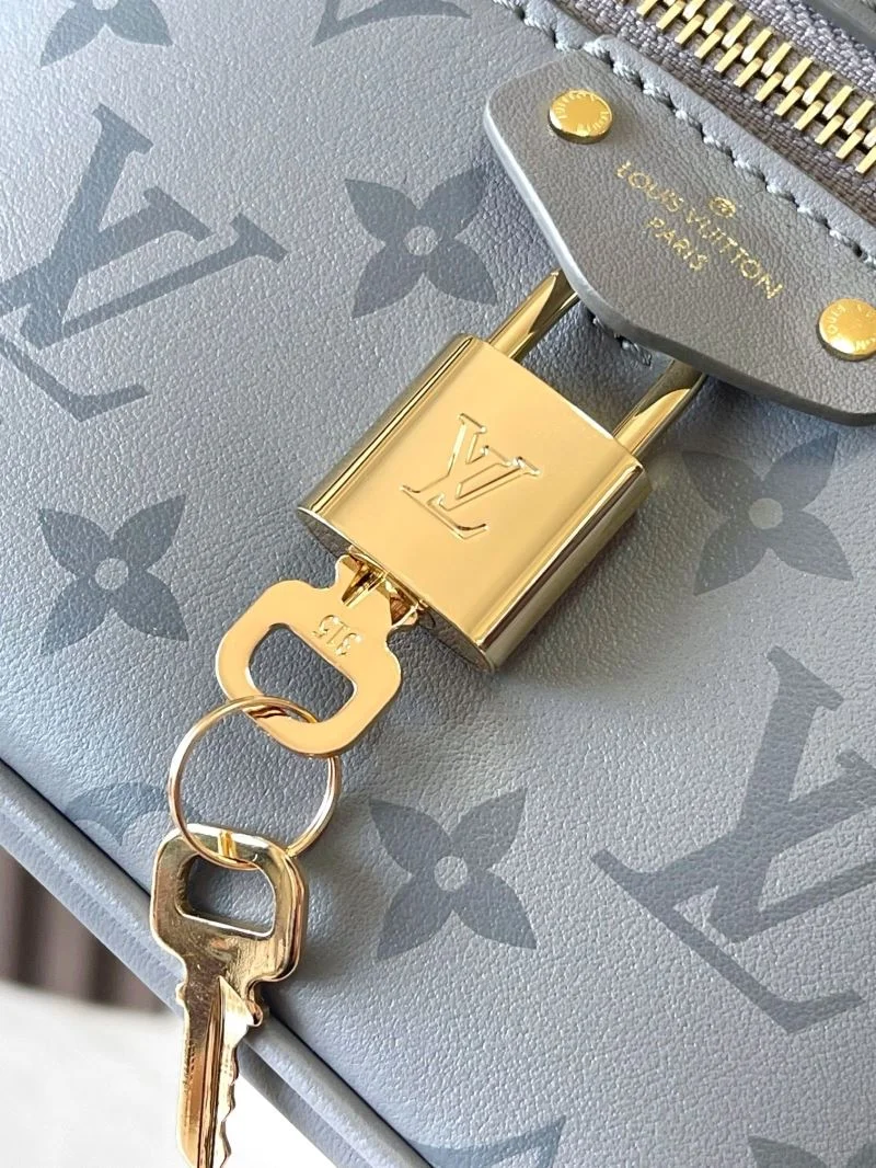 DailyWear Louis Vuitton Cosmetic Bags 39749