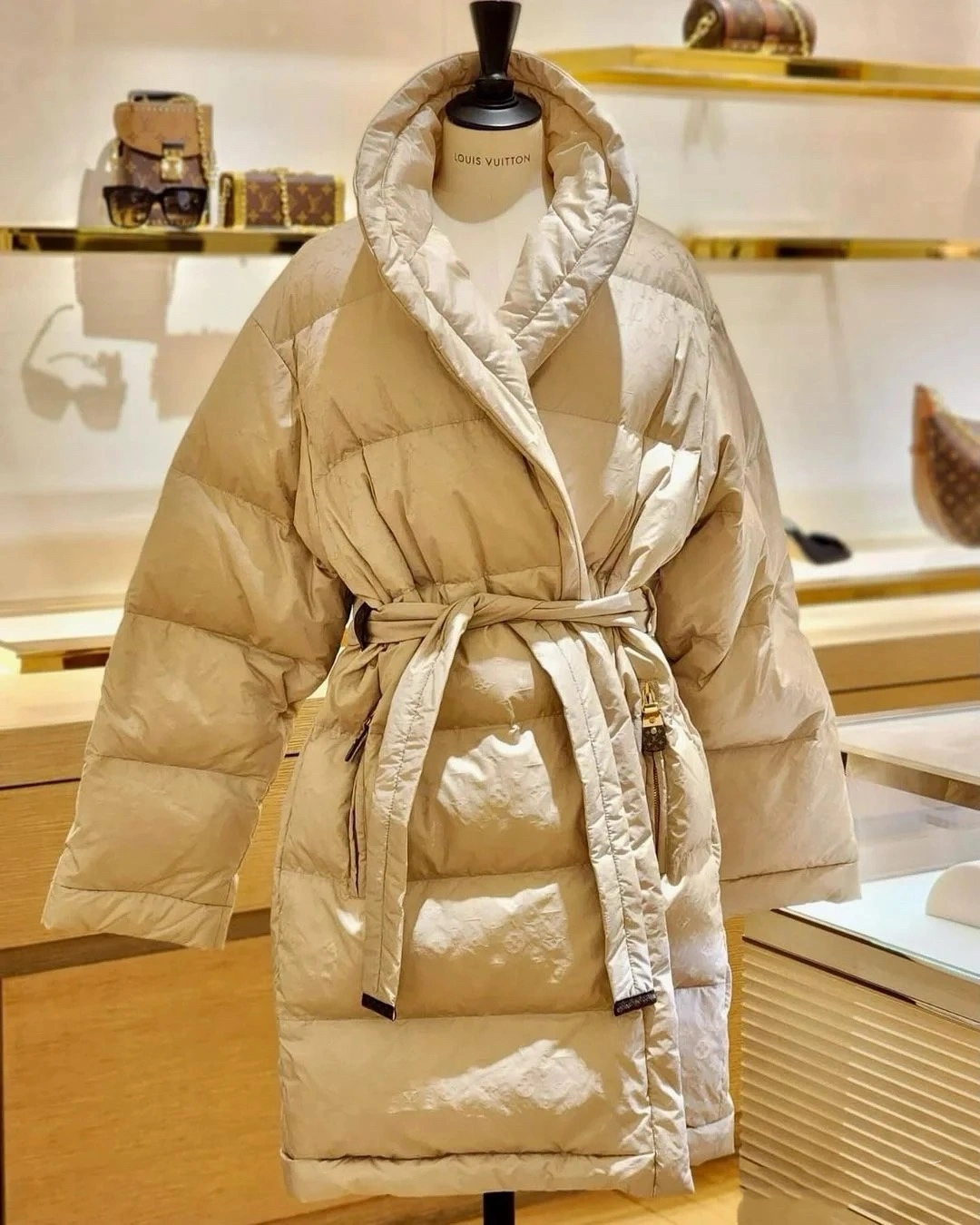 Louis Vuitton Down Jackets Minimalist 139468