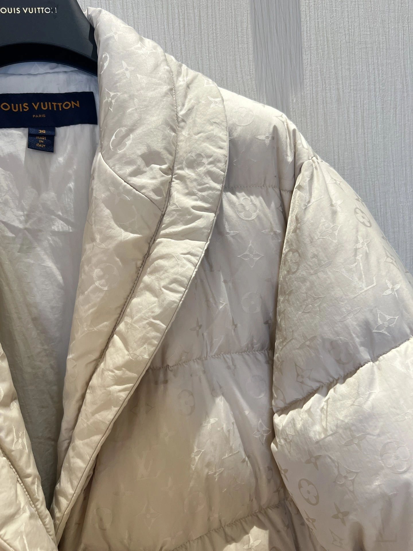 Louis Vuitton Down Jackets Minimalist 139468