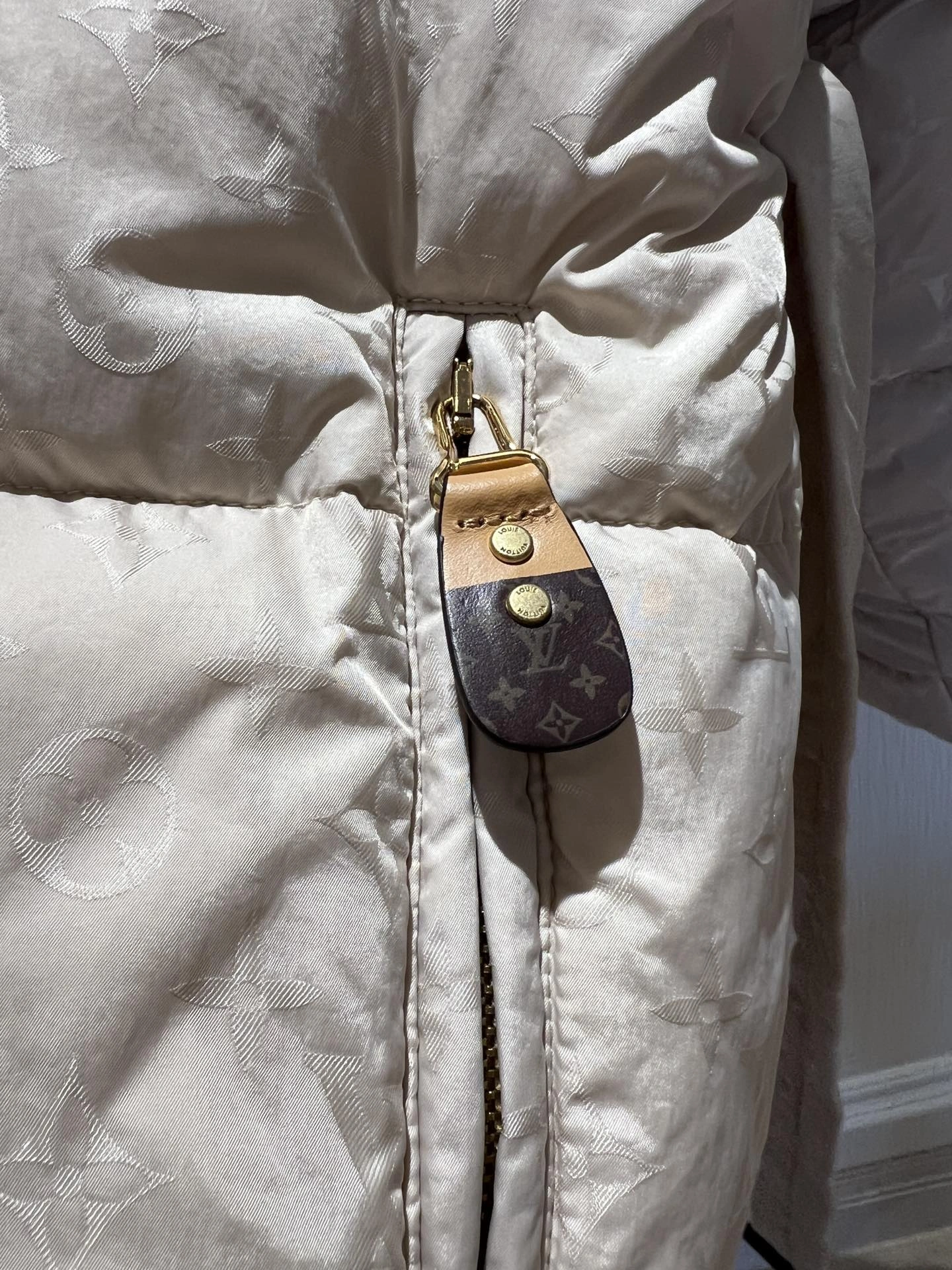 Louis Vuitton Down Jackets Minimalist 139468