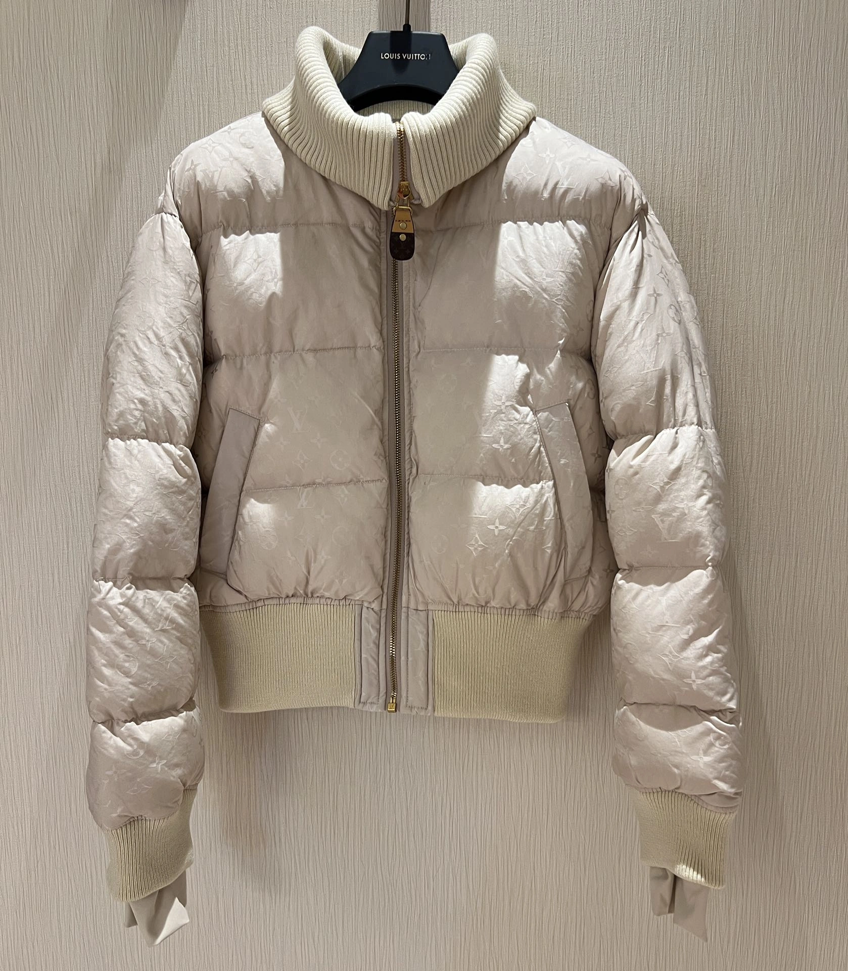Bold Louis Vuitton Down Jackets 139481