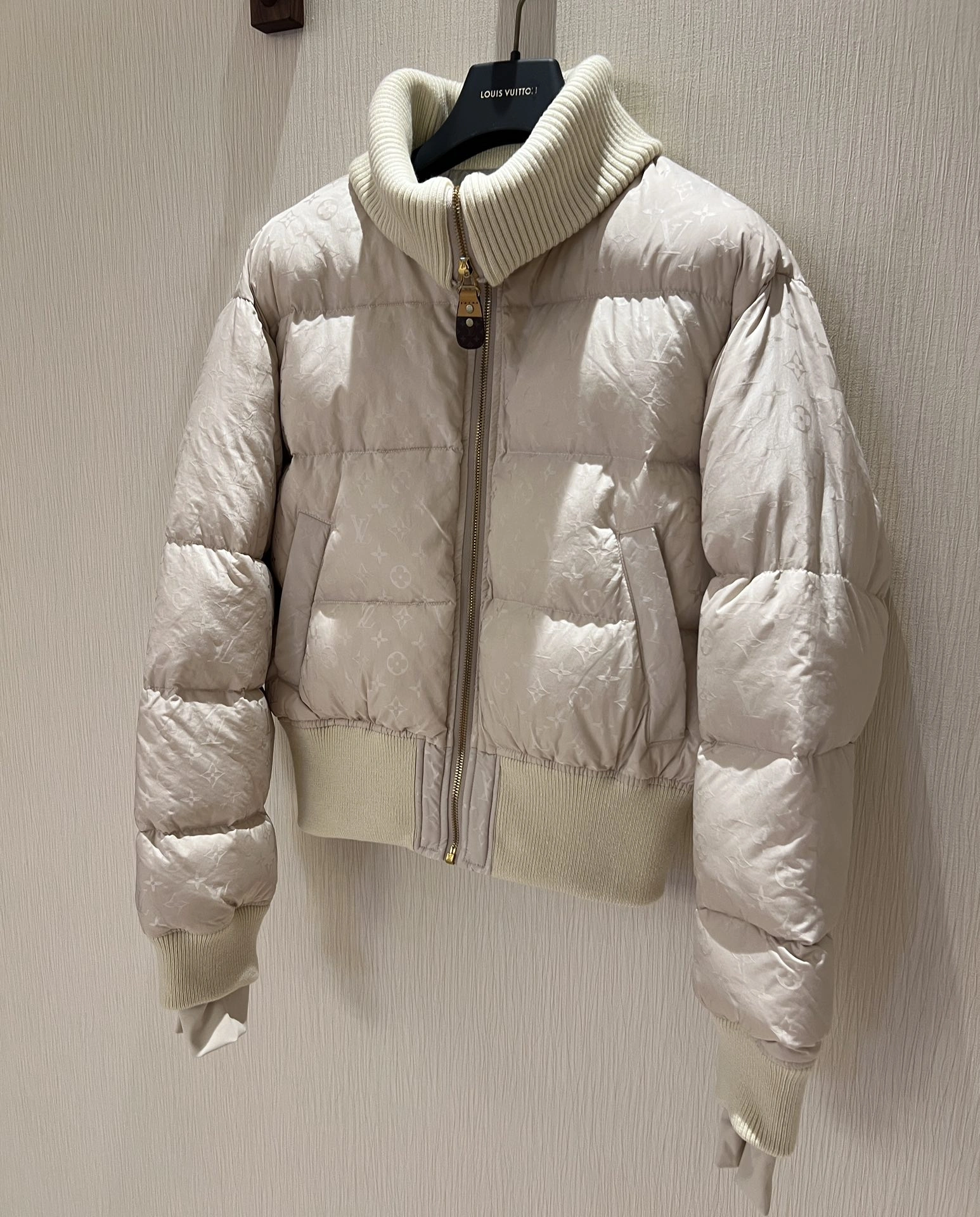 Bold Louis Vuitton Down Jackets 139481