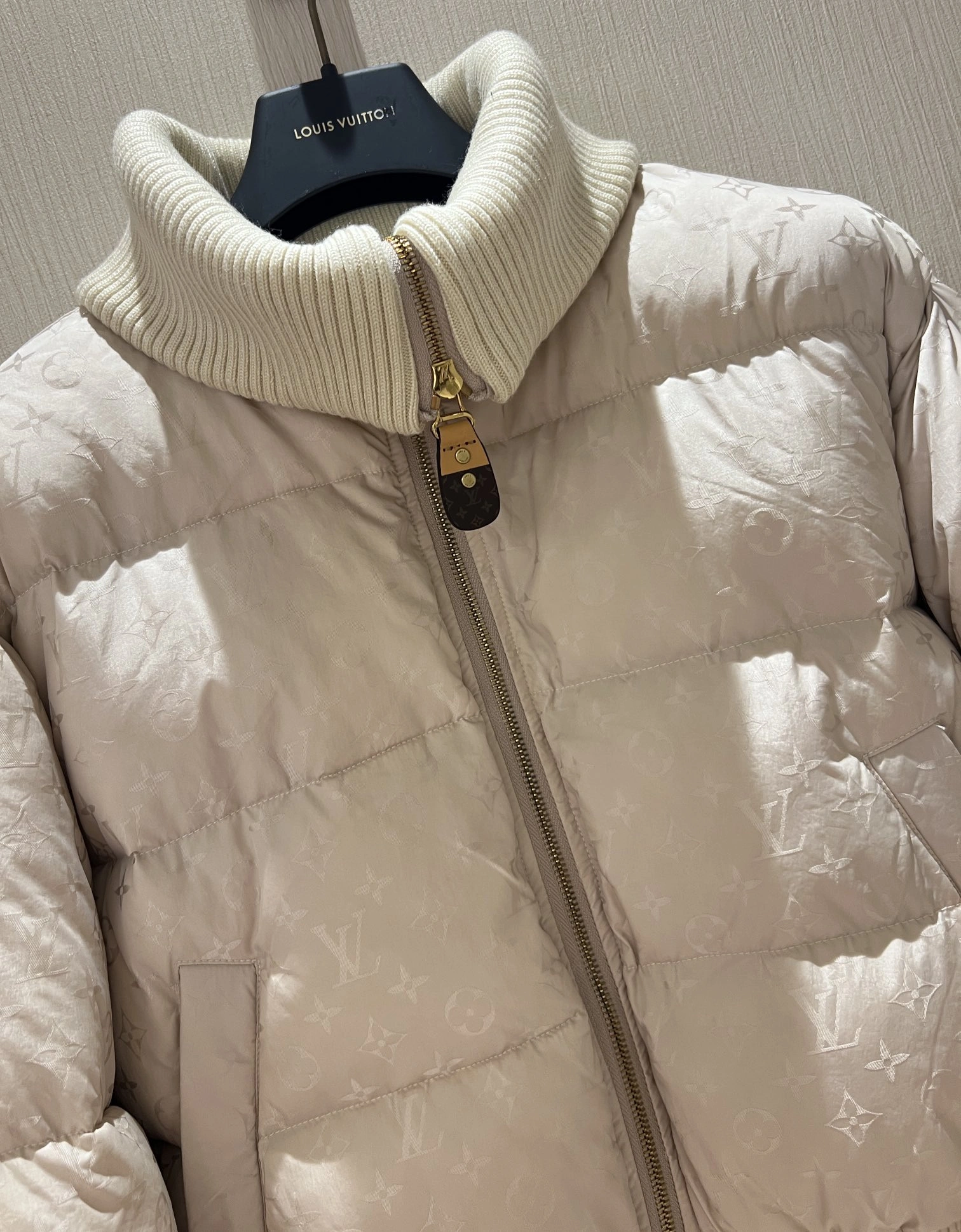 Bold Louis Vuitton Down Jackets 139481