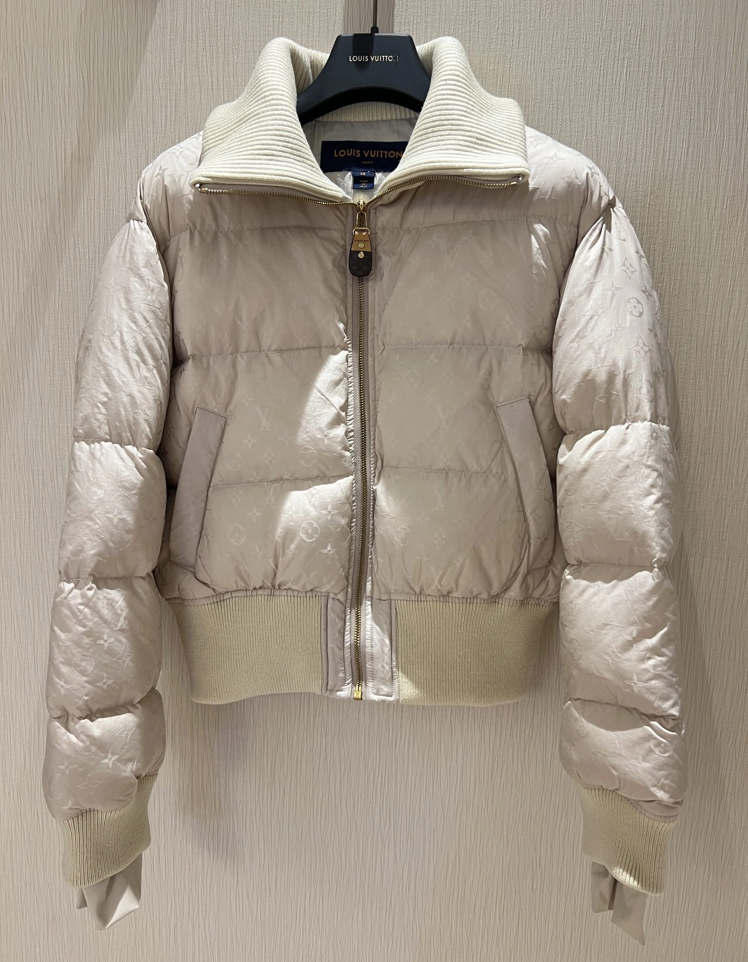 Bold Louis Vuitton Down Jackets 139481