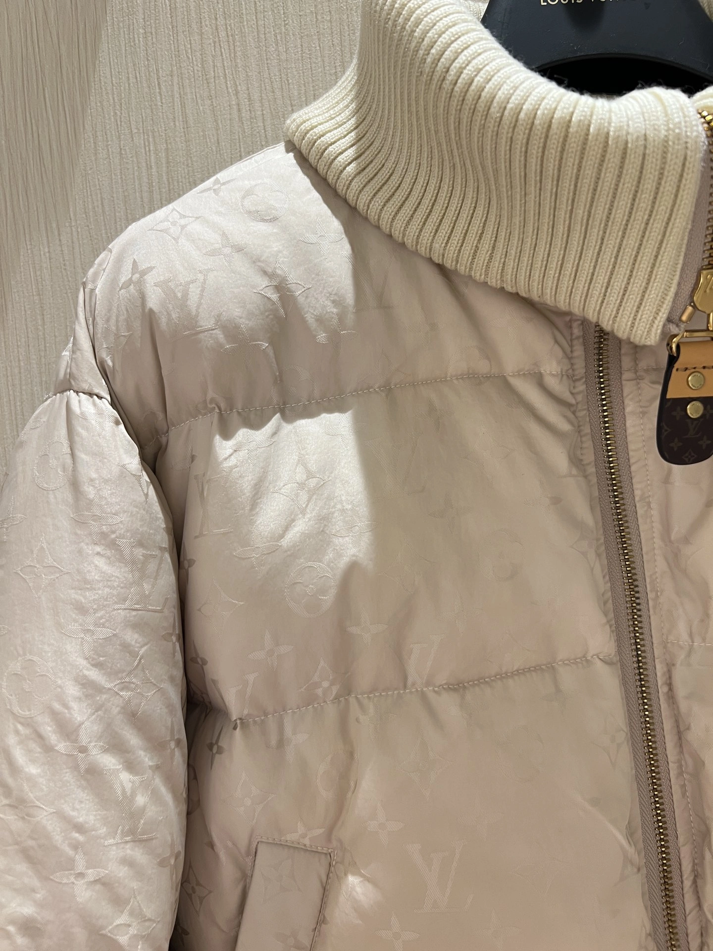 Bold Louis Vuitton Down Jackets 139481