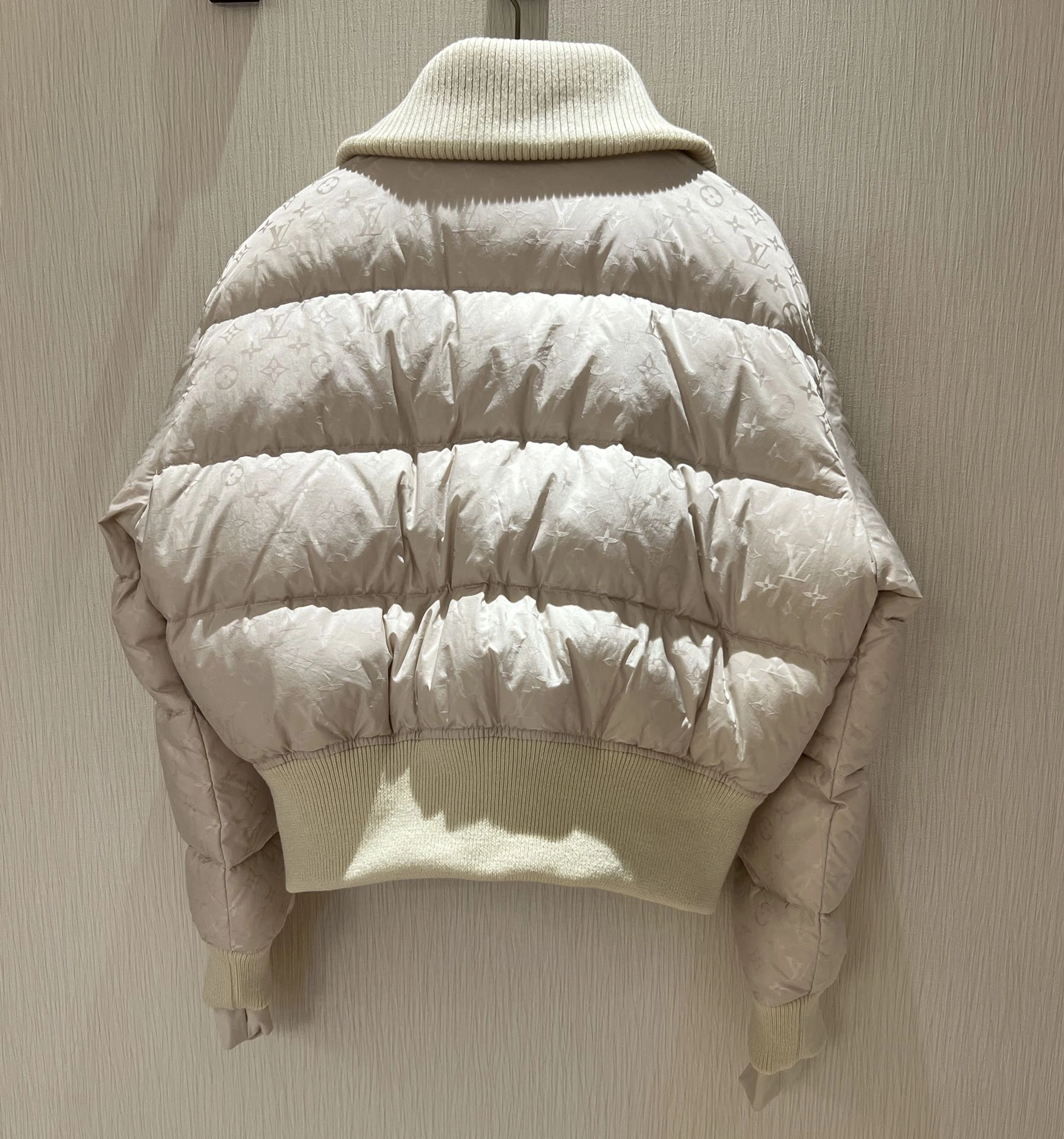 Bold Louis Vuitton Down Jackets 139481