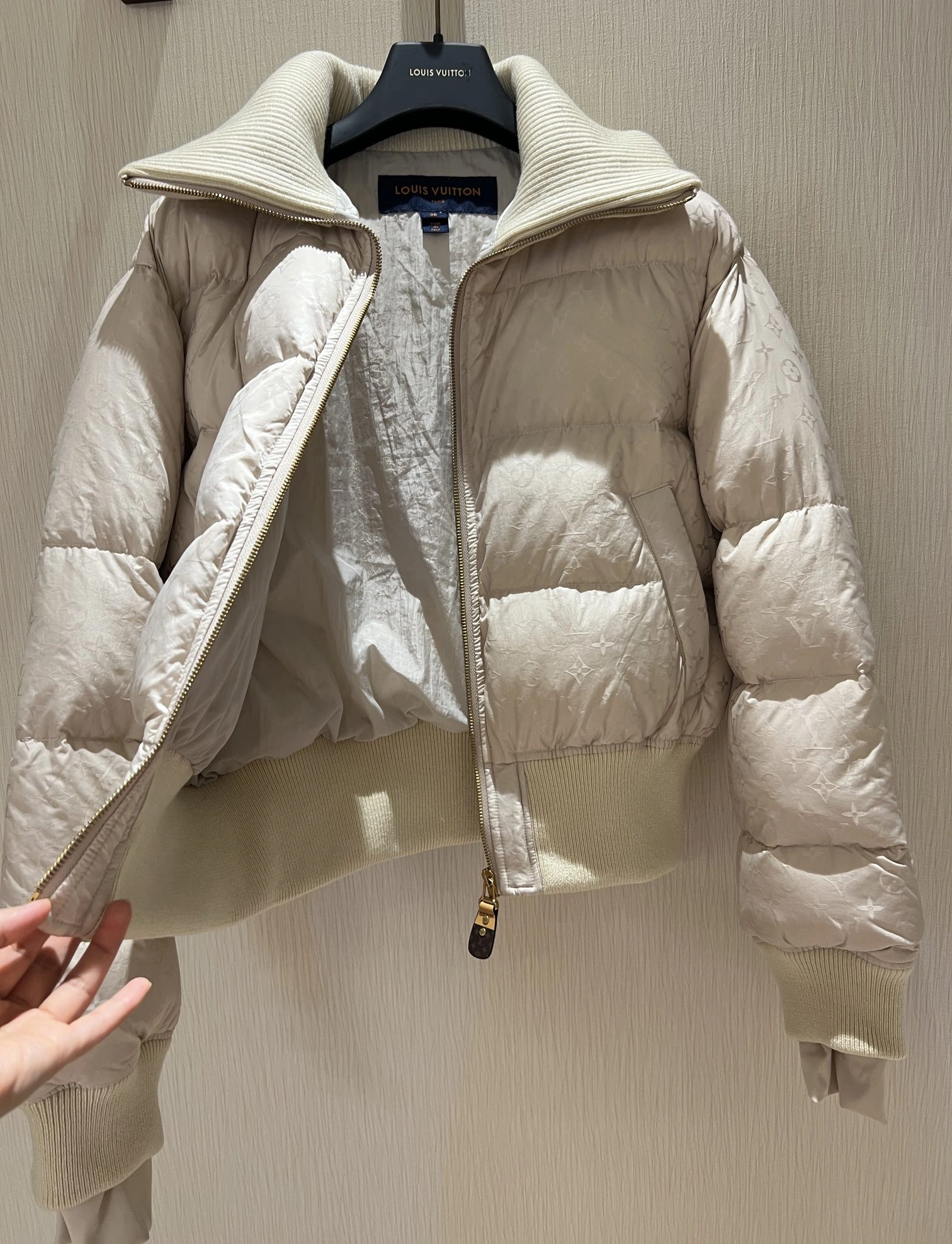 Bold Louis Vuitton Down Jackets 139481