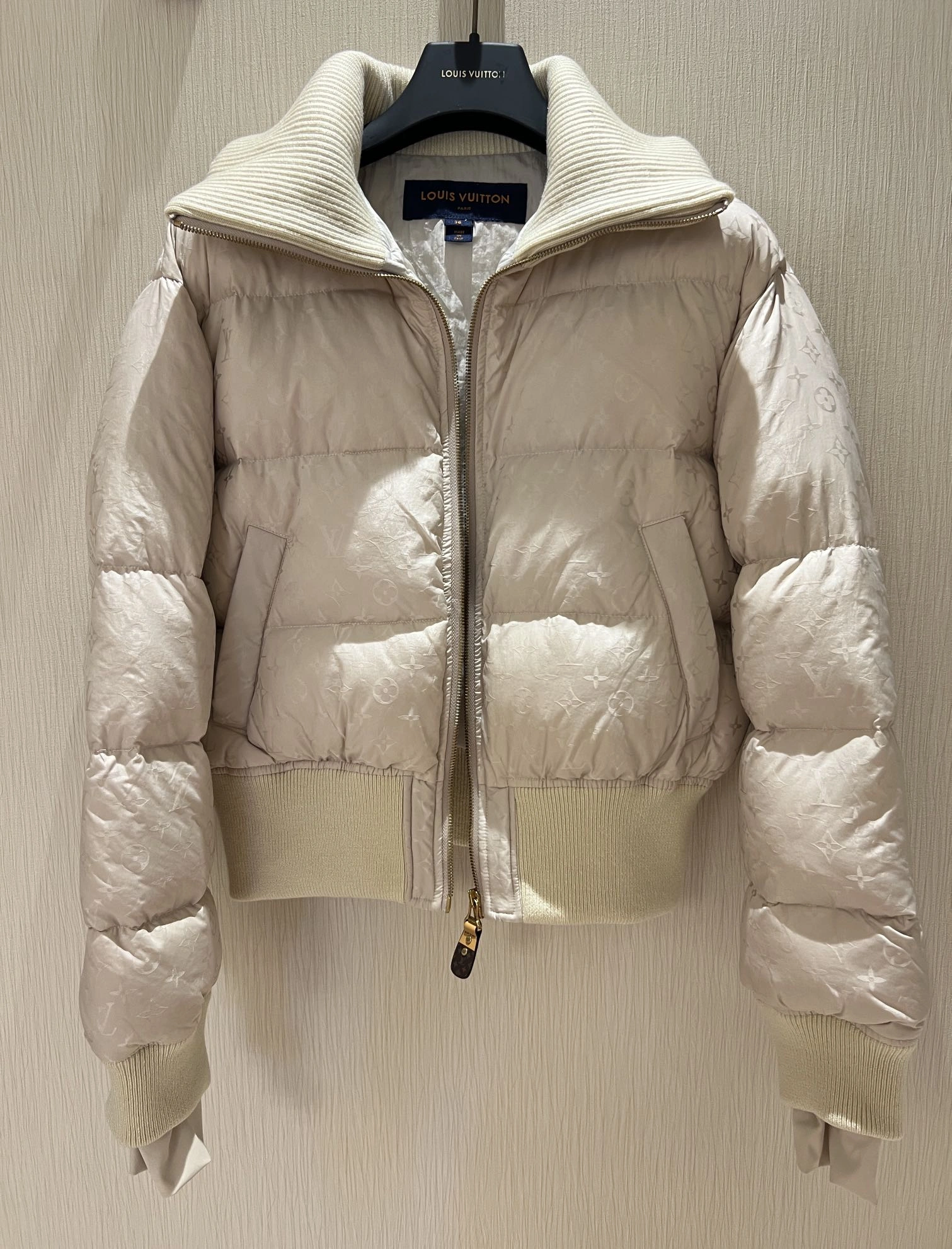 Bold Louis Vuitton Down Jackets 139481