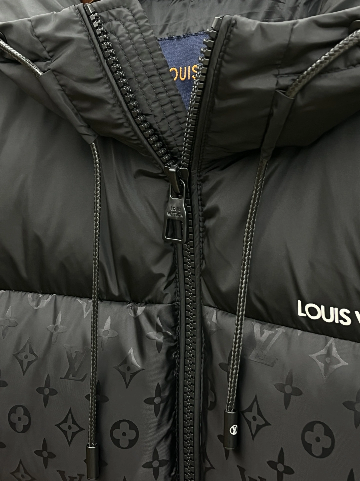 Louis Vuitton Down Jackets Bold 139472