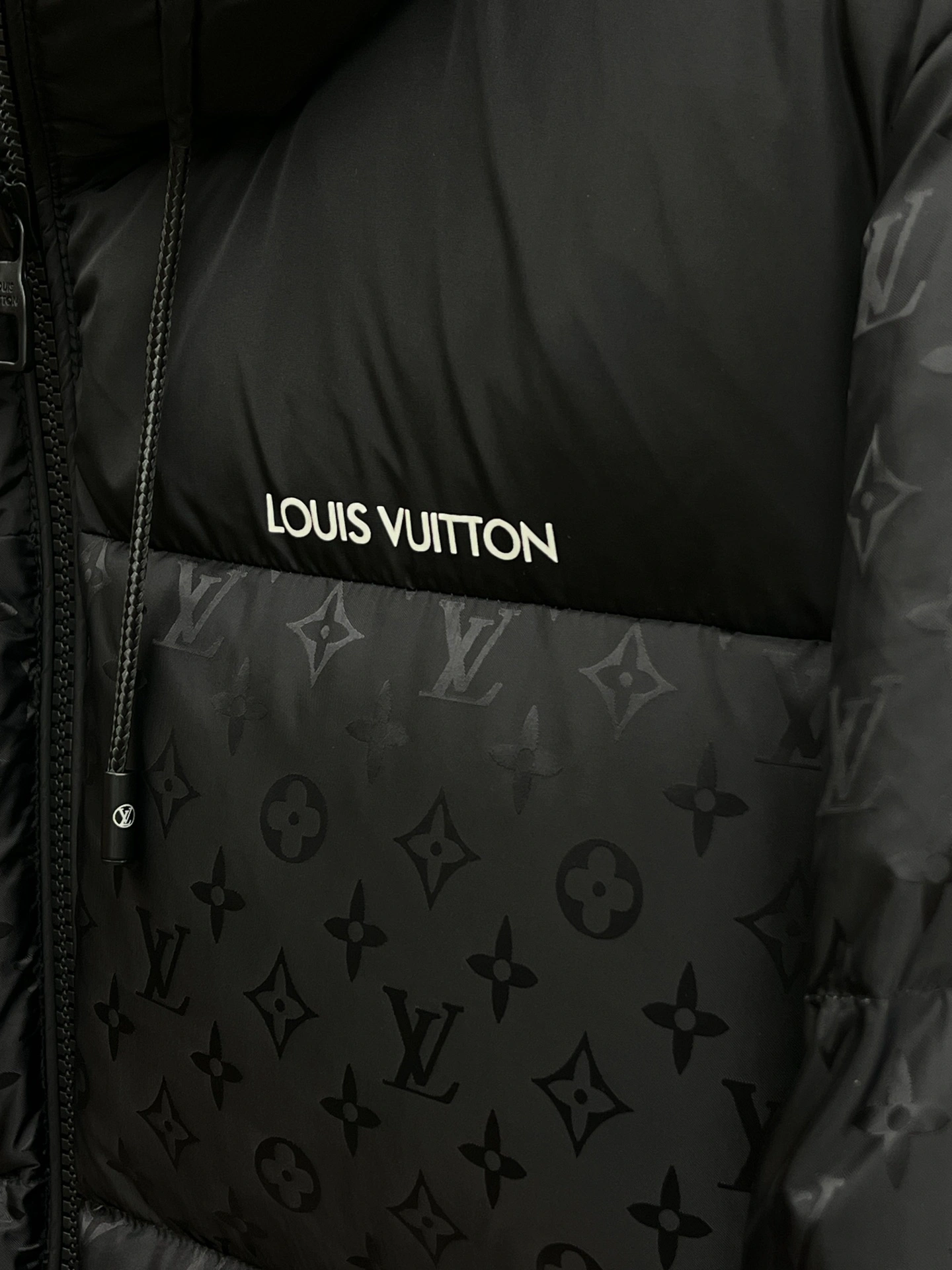 Louis Vuitton Down Jackets Bold 139472