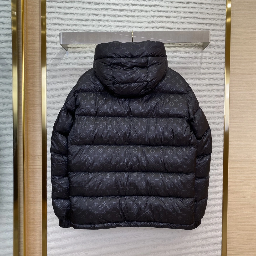 Louis Vuitton Down Jackets Supportive 139458