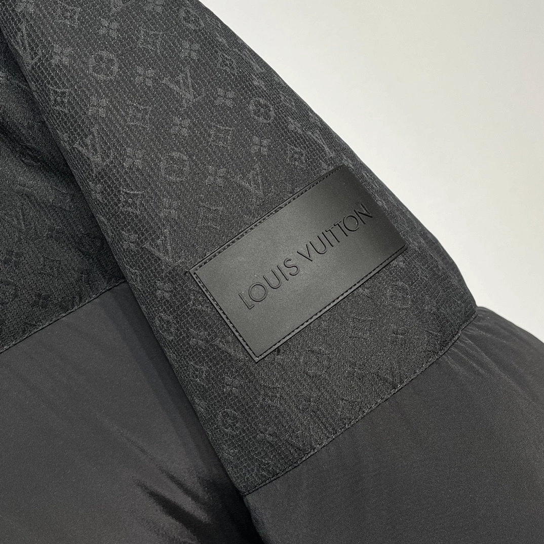 Louis Vuitton Down Jackets GoodFit 139467
