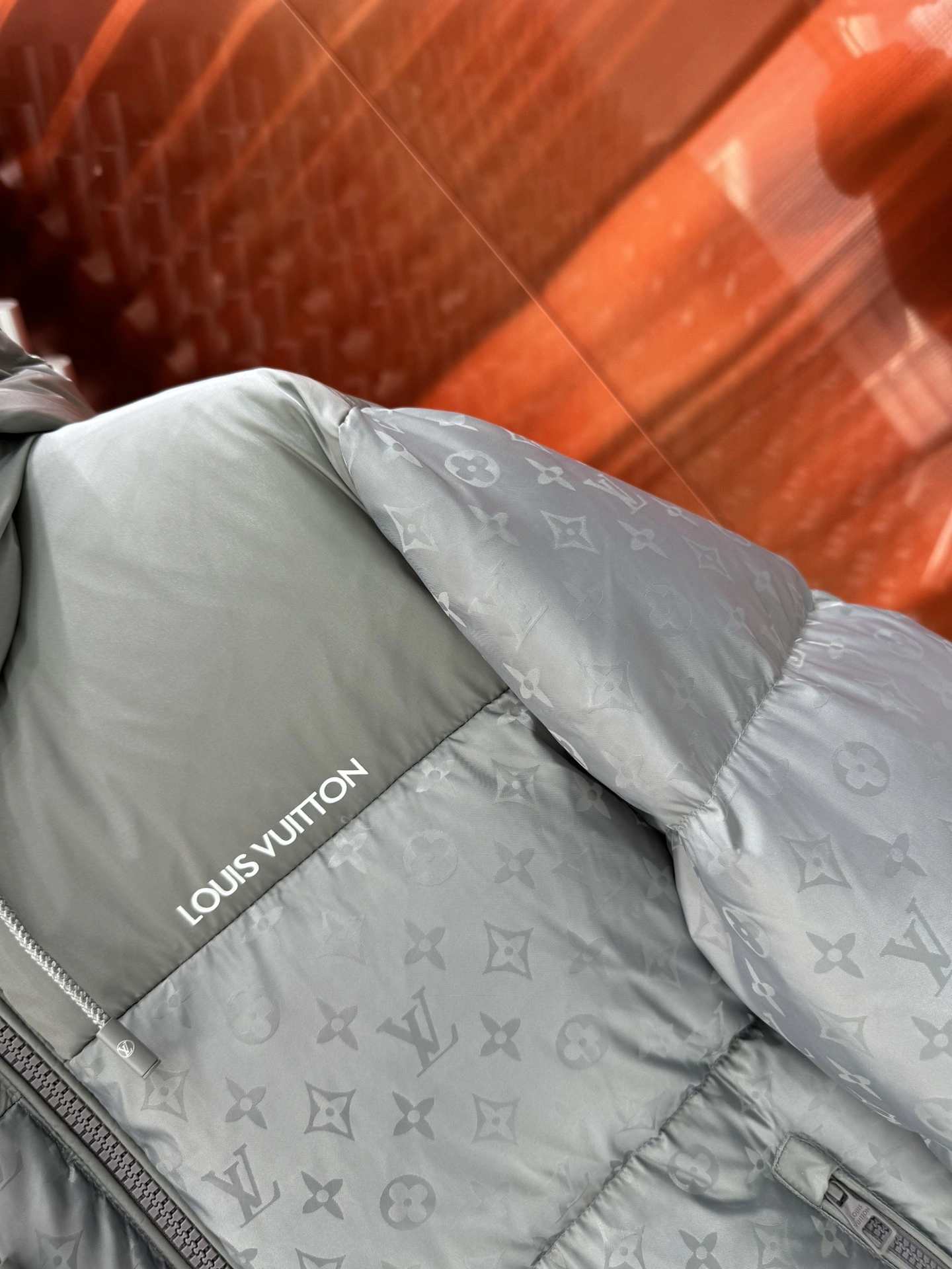 Louis Vuitton Down Jackets Functional 139444