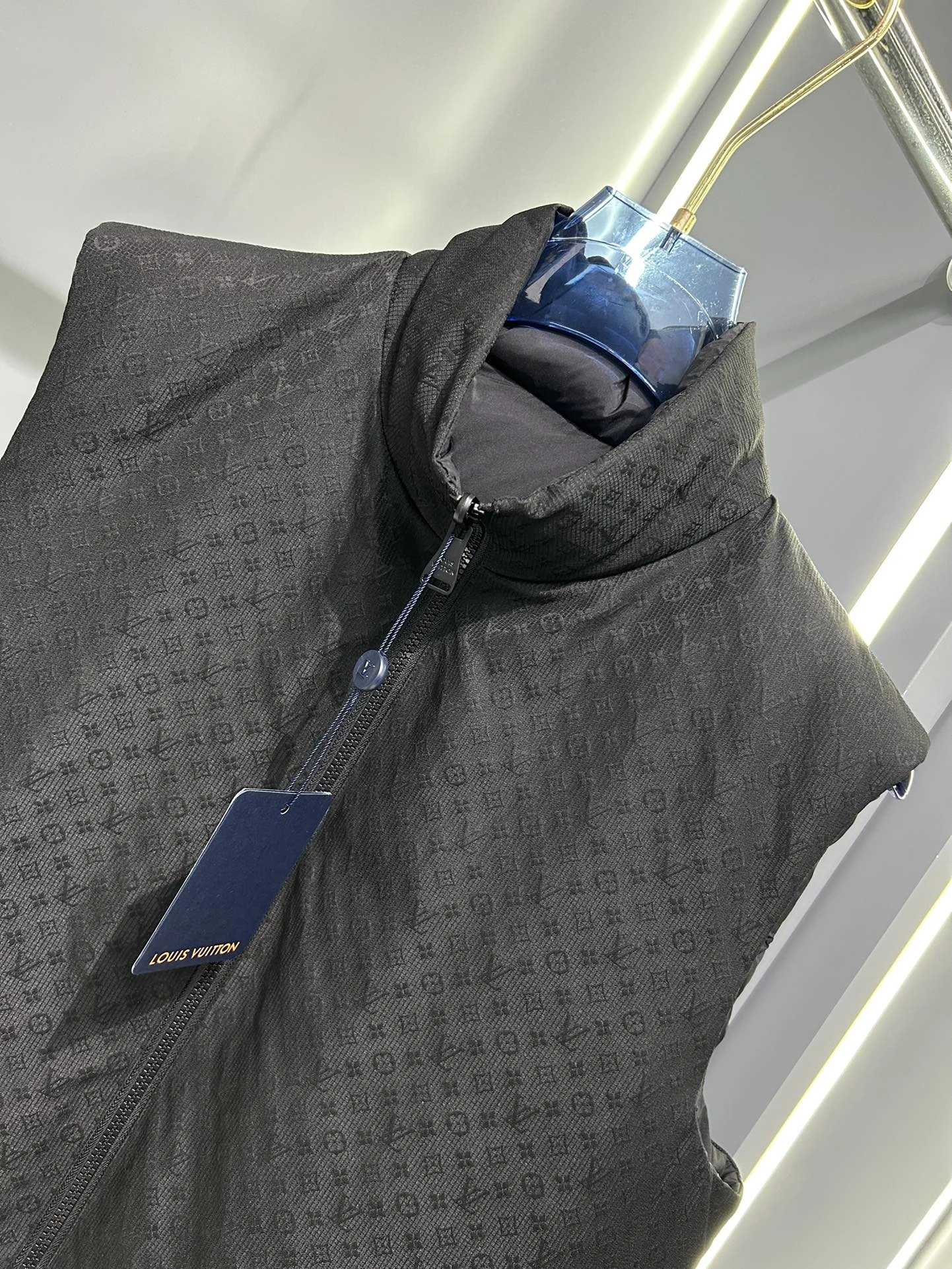 Unique Louis Vuitton Down Jackets 139438