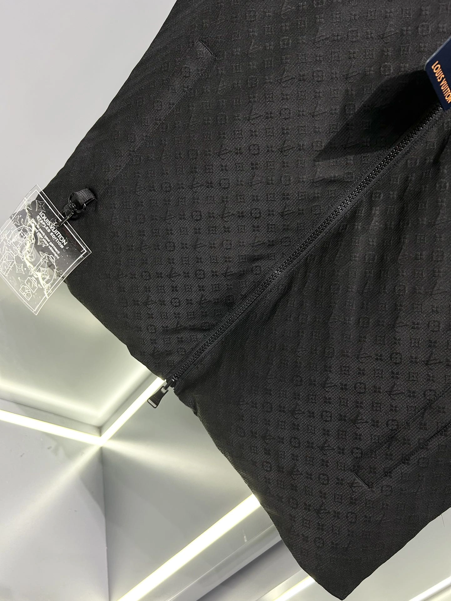 Unique Louis Vuitton Down Jackets 139438