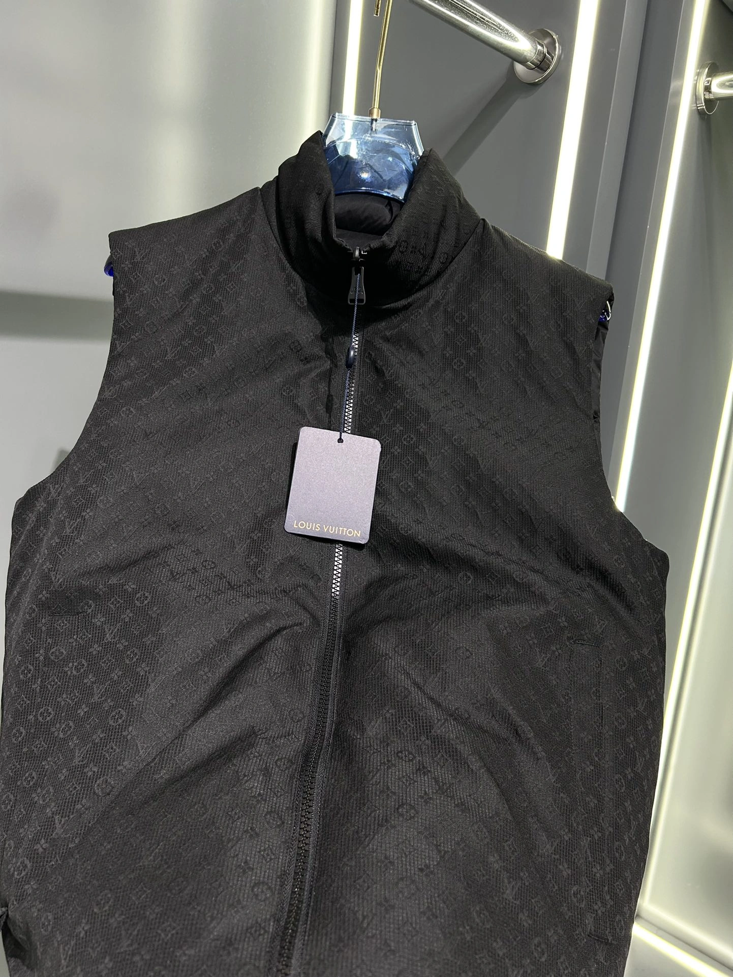 Unique Louis Vuitton Down Jackets 139438