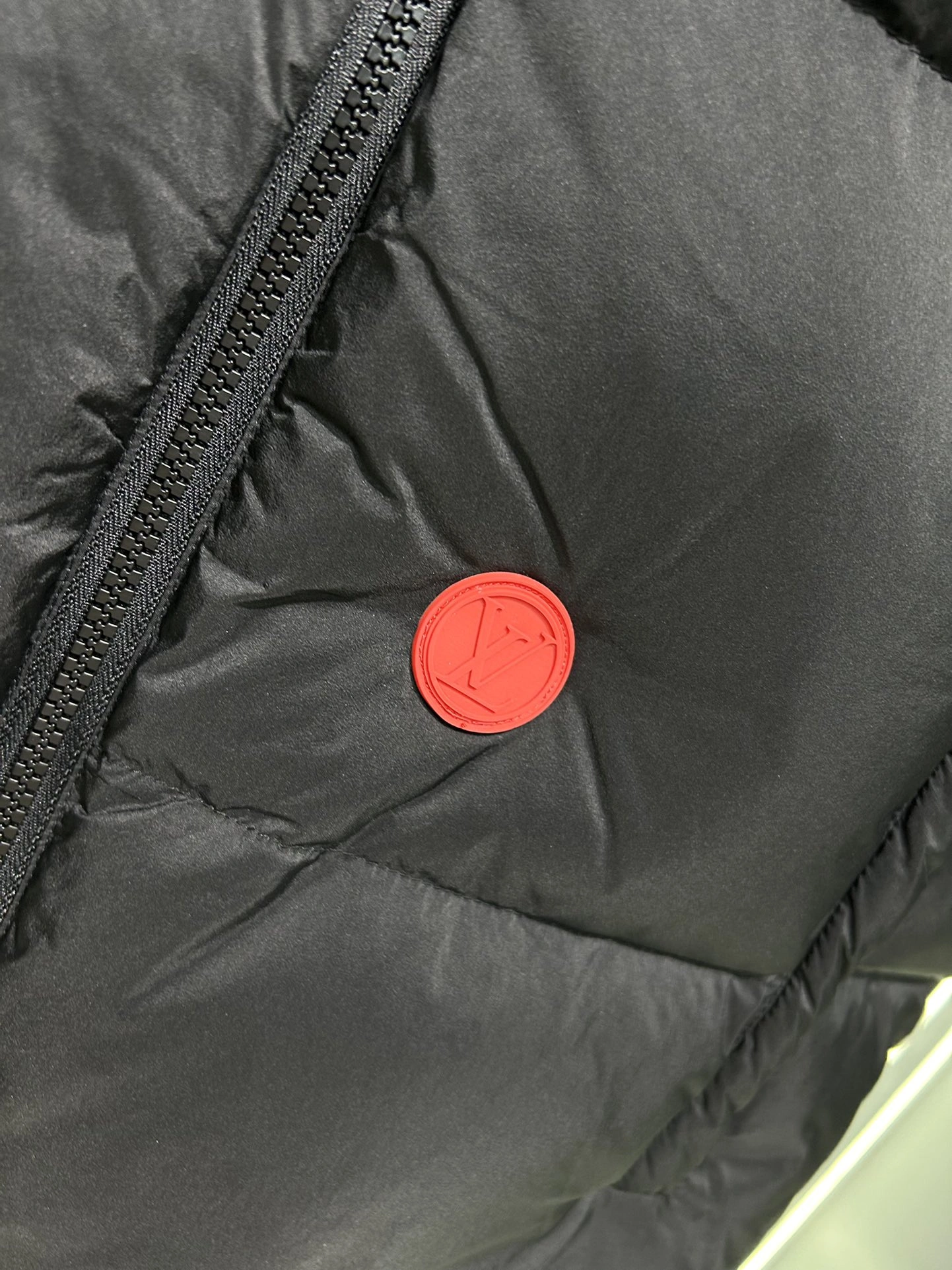 Unique Louis Vuitton Down Jackets 139438