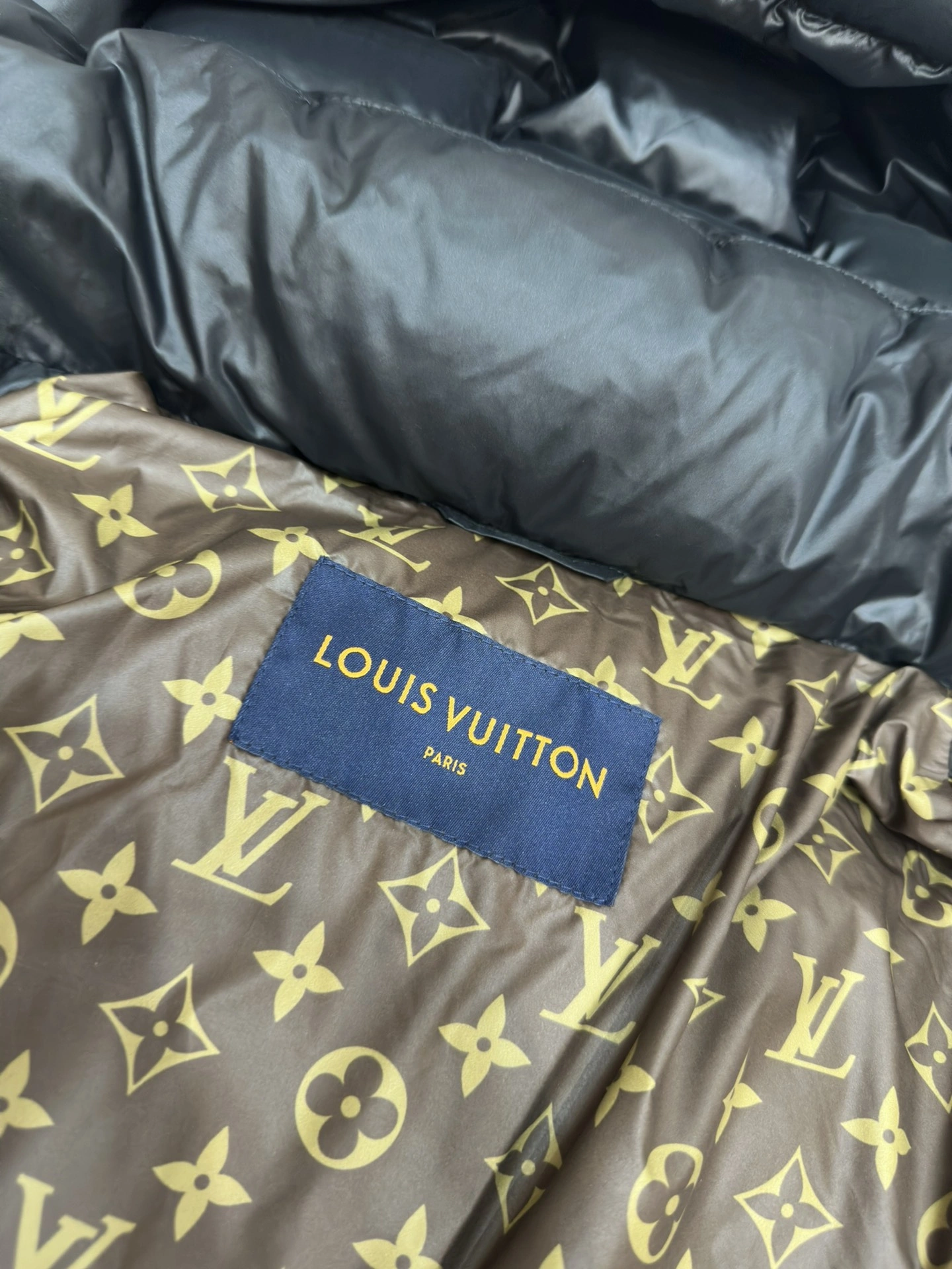 Functional Louis Vuitton Down Jackets 139427