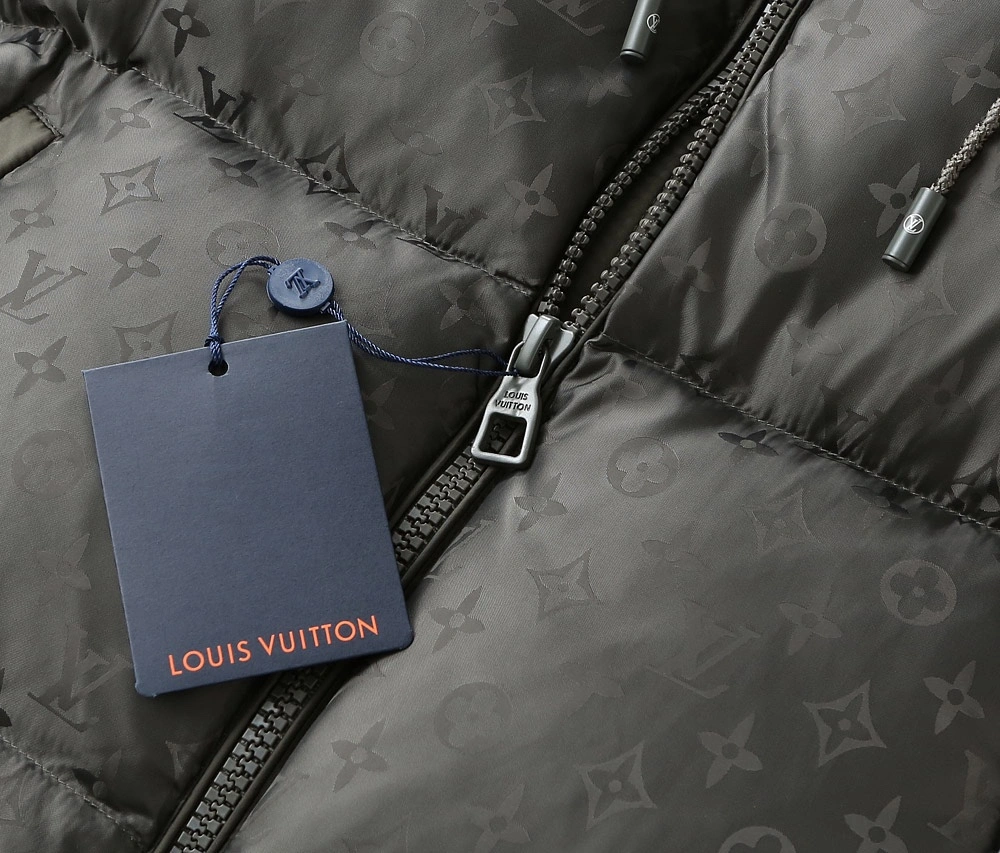 EasyMatch Louis Vuitton Down Jackets 139418