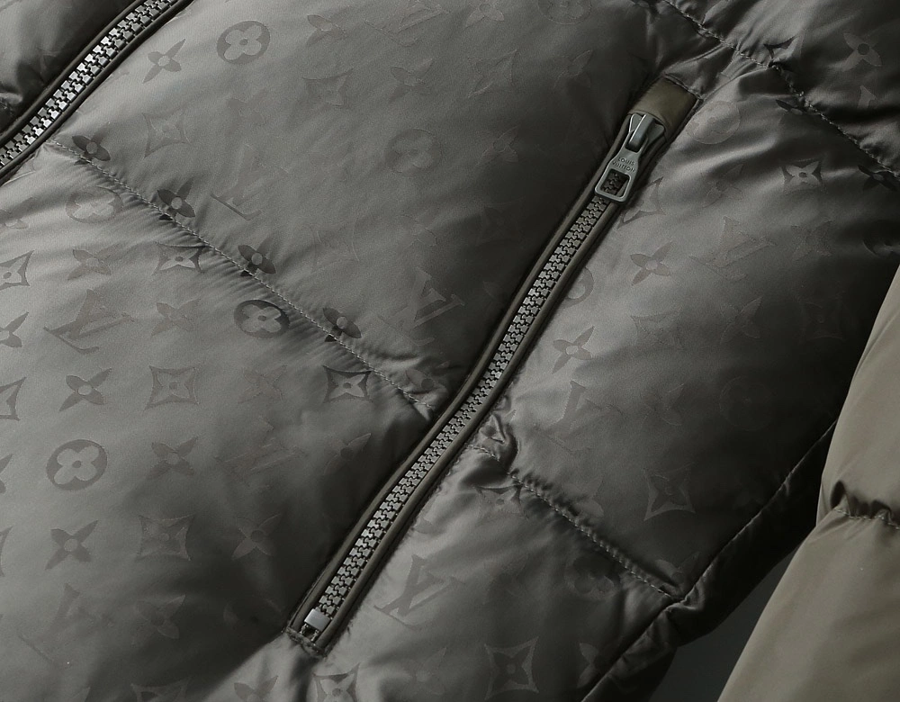 EasyMatch Louis Vuitton Down Jackets 139418
