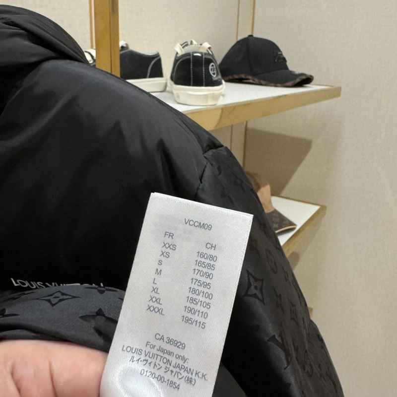 Chic Louis Vuitton Down Jackets 139342