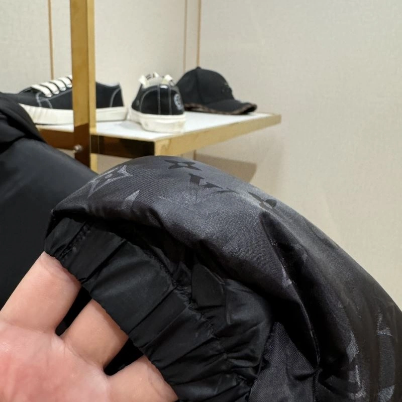 Chic Louis Vuitton Down Jackets 139342