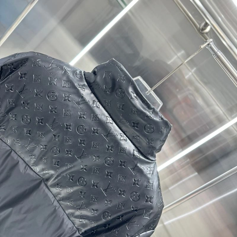 Louis Vuitton Down Jackets Affordable 130349