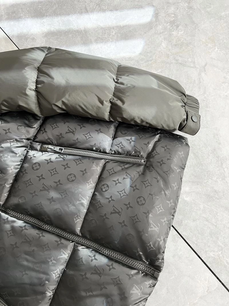 Louis Vuitton Down Jackets Bright 139318