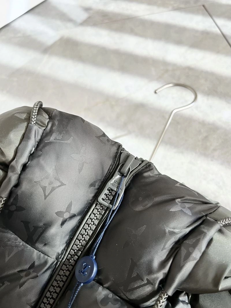 Louis Vuitton Down Jackets Bright 139318