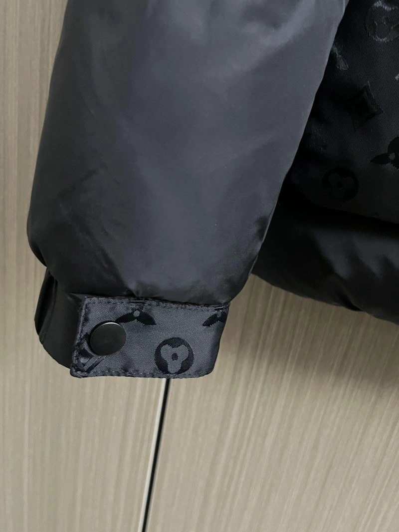 Sleek Louis Vuitton Down Jackets 139282