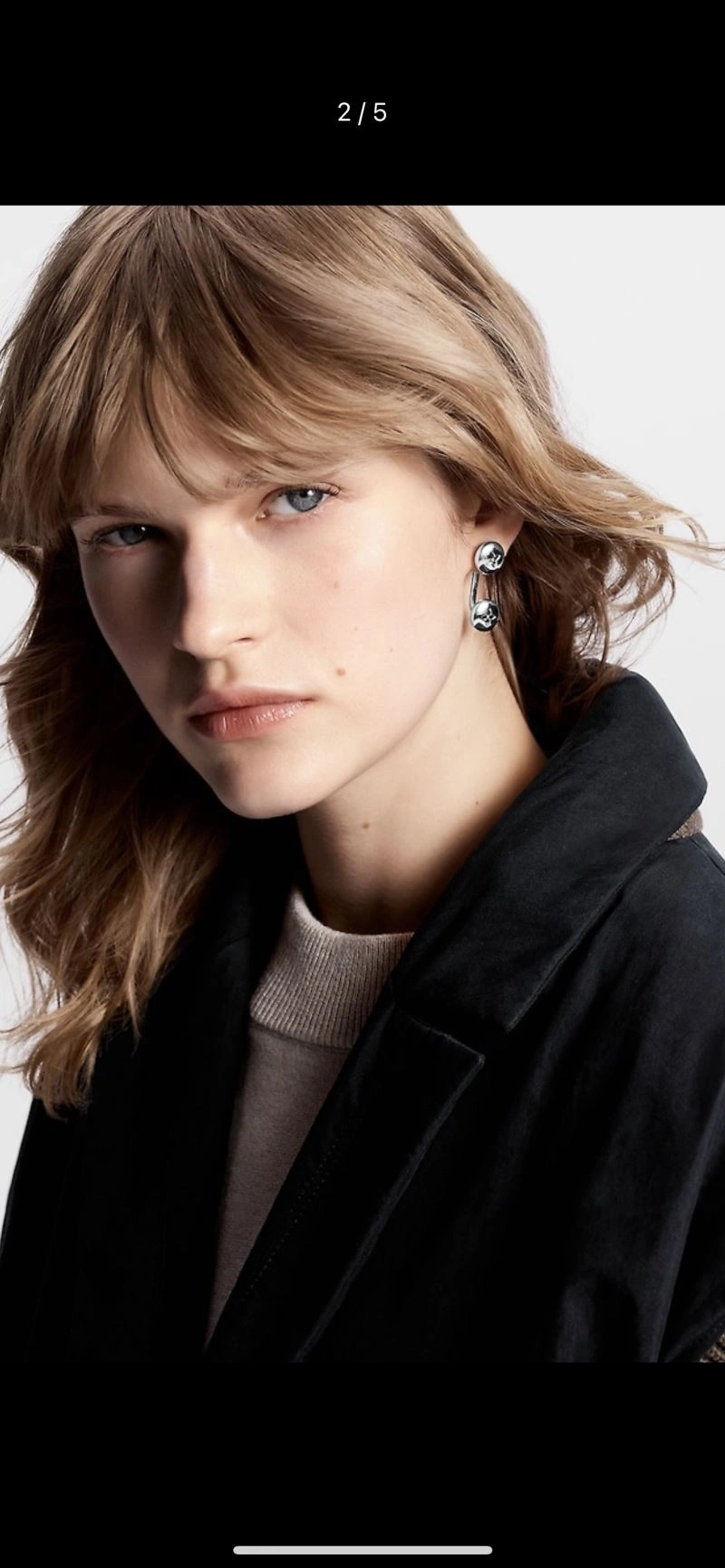 Louis Vuitton Earrings Unisex 251238