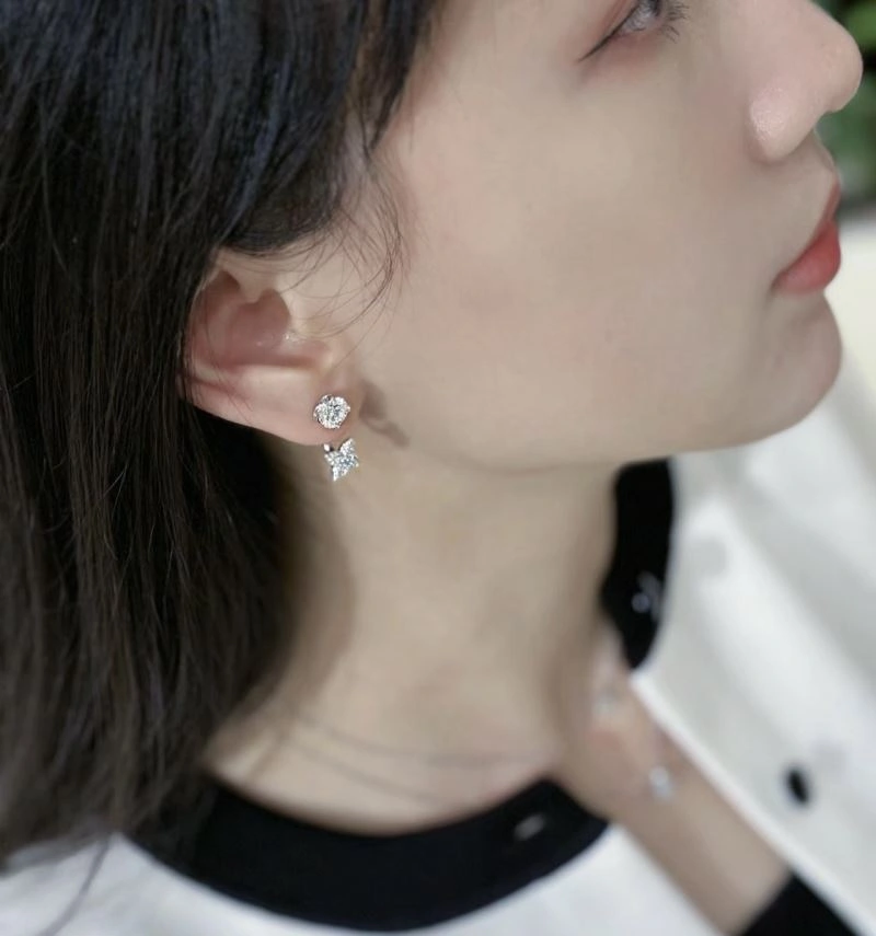 Chic Louis Vuitton Earrings 251738