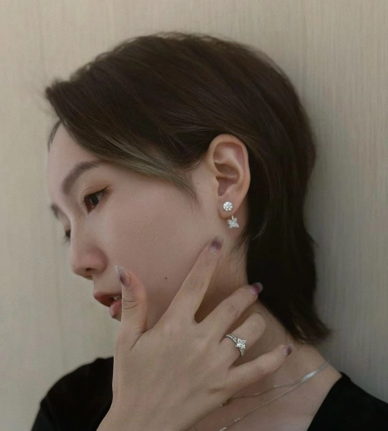 Chic Louis Vuitton Earrings 251738