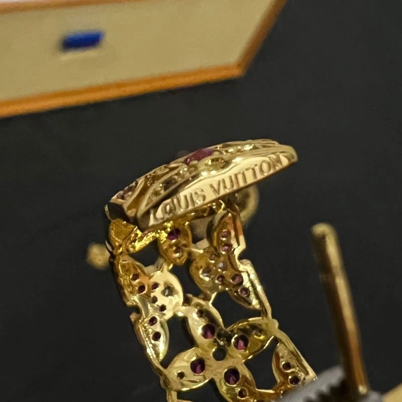 Vibrant Louis Vuitton Earrings 251518