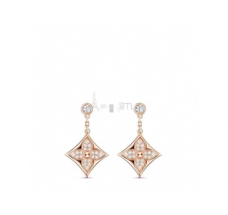 Louis Vuitton Earrings Durable 251528
