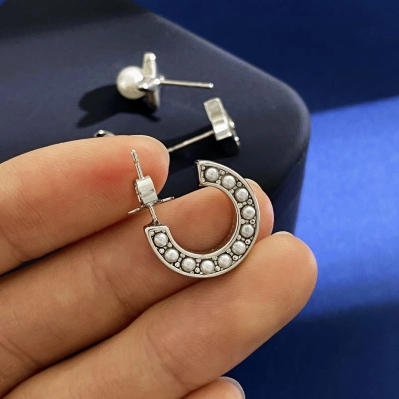 Soft Louis Vuitton Earrings 251099