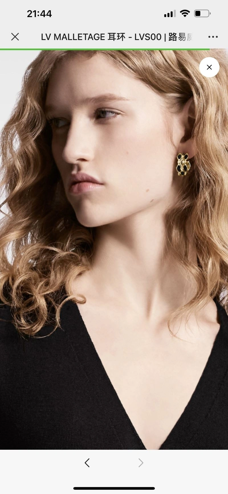 Chic Louis Vuitton Earrings 250602