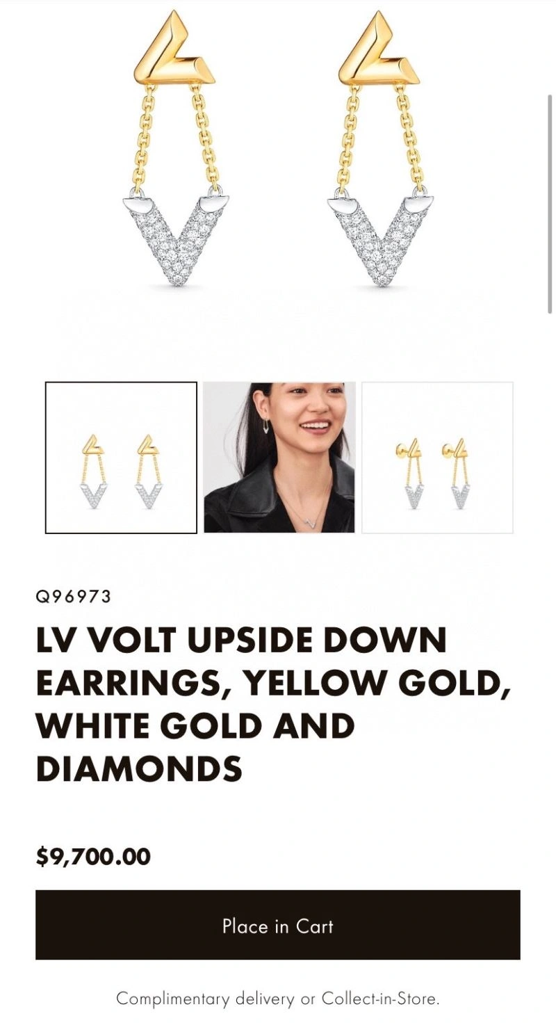 Louis Vuitton Earrings Casual 250212