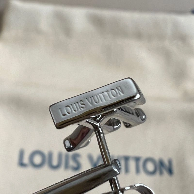 EasyCare Louis Vuitton Earrings 250208