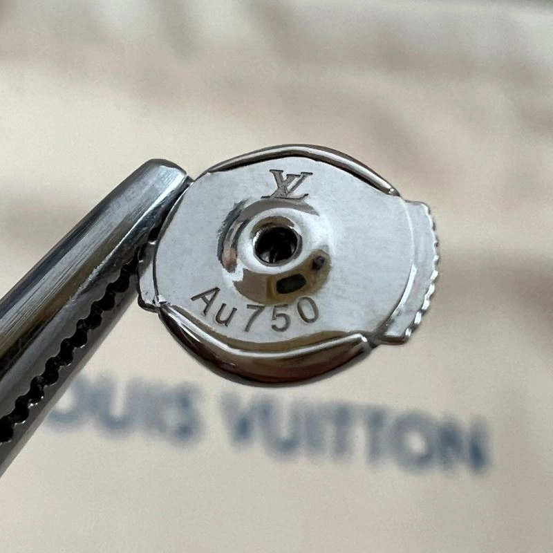 Packable Louis Vuitton Earrings 250193