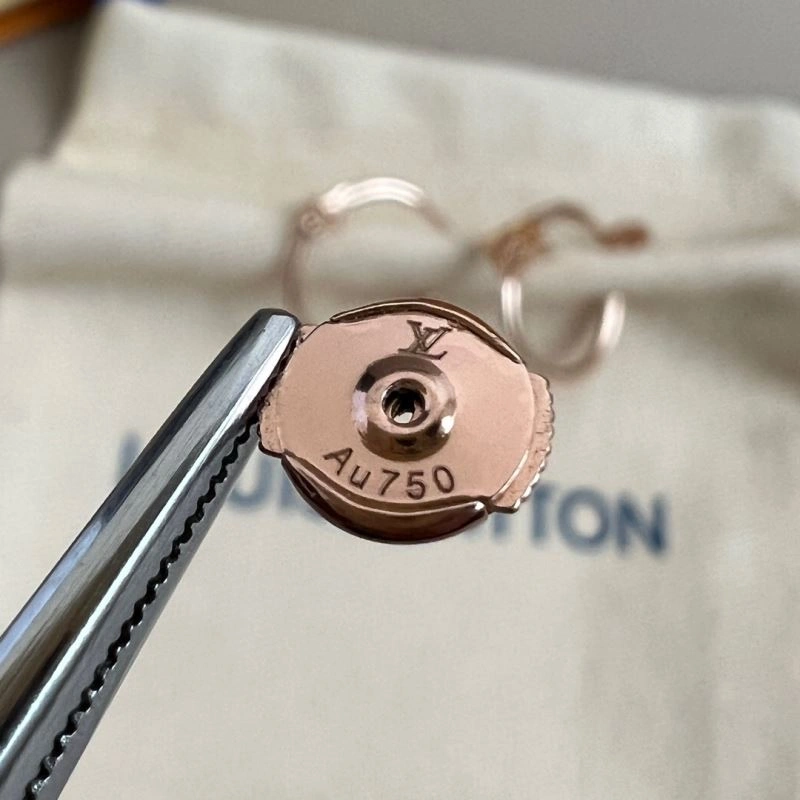 Louis Vuitton Earrings Sustainable 250117