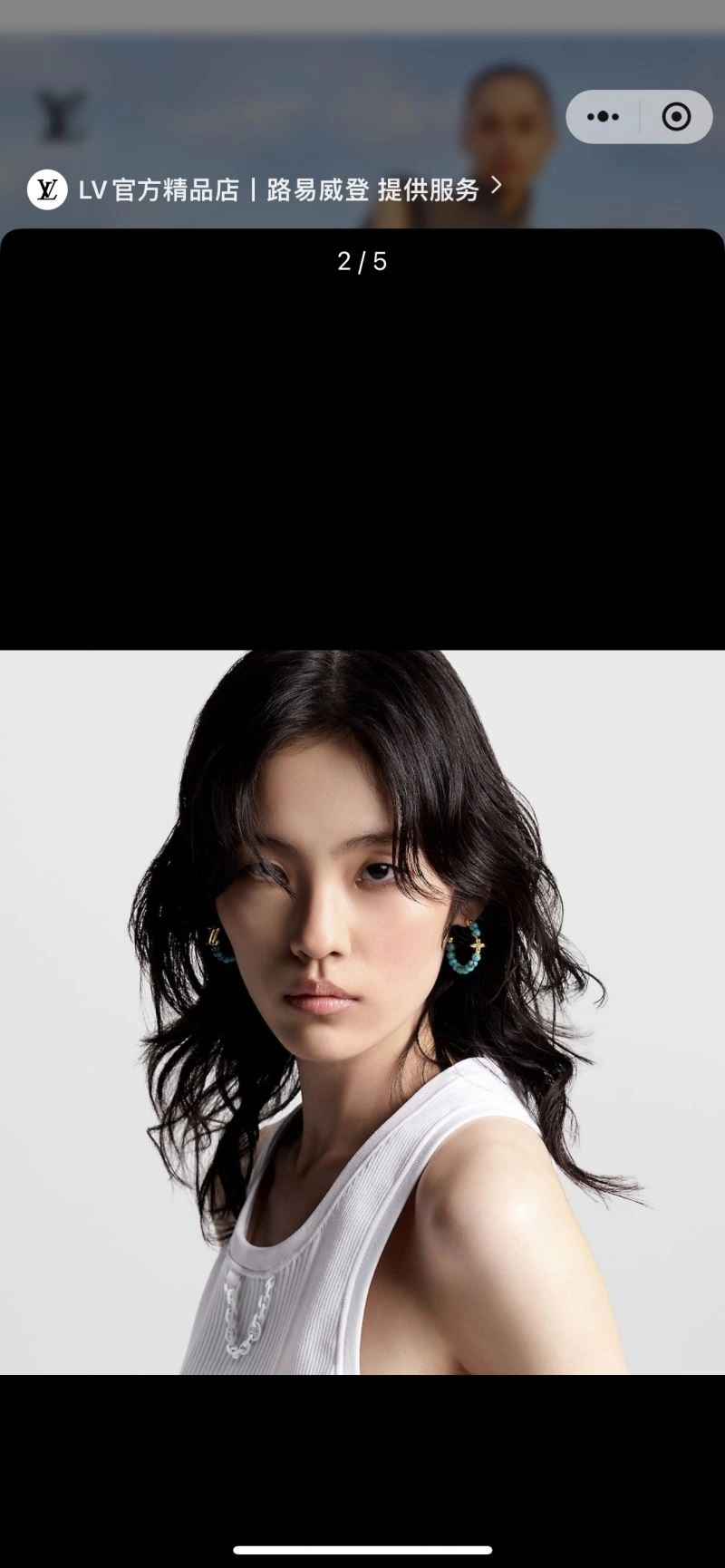 Durable Louis Vuitton Earrings 250116