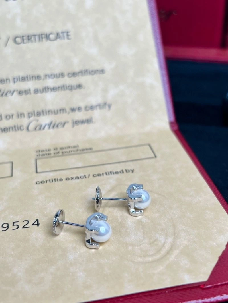 Louis Vuitton Earrings DailyWear 250081